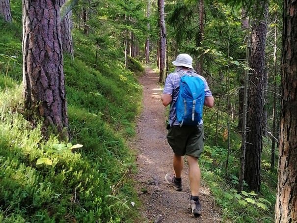 Semmering Railway Tour: Hiking the Austrian Alps from Vienna