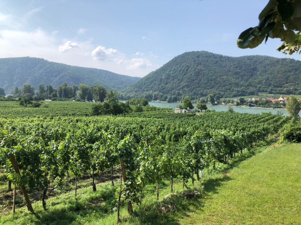 wachau valley wine tour