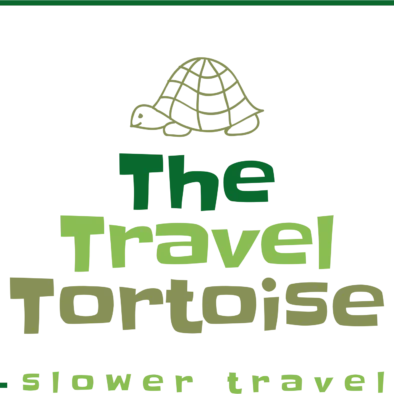 the travel tortoise logo