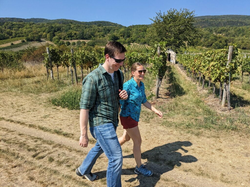 wine tours from vienna to the vienna woods