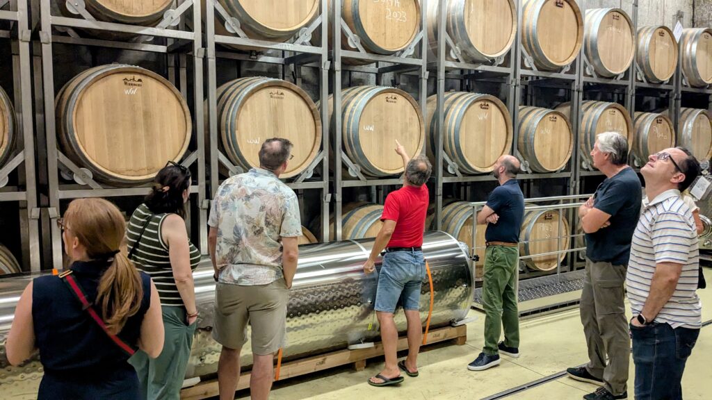 people looking up at several wine barrels on a wine tour with venture vienna